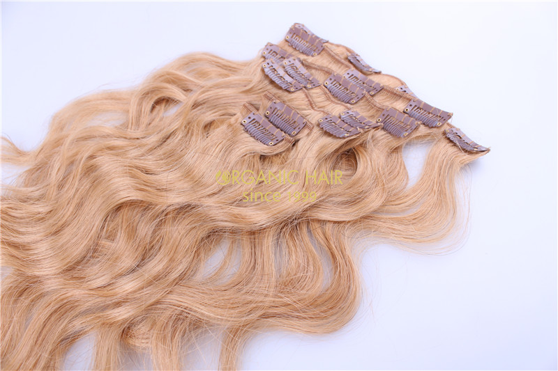 cheap clip on hair extensions remy hair clip ins